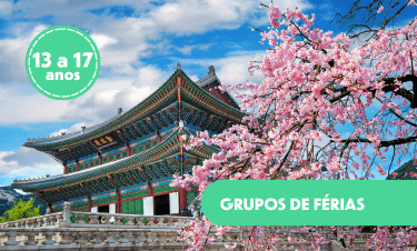 Férias em Seul _ Coreia.png