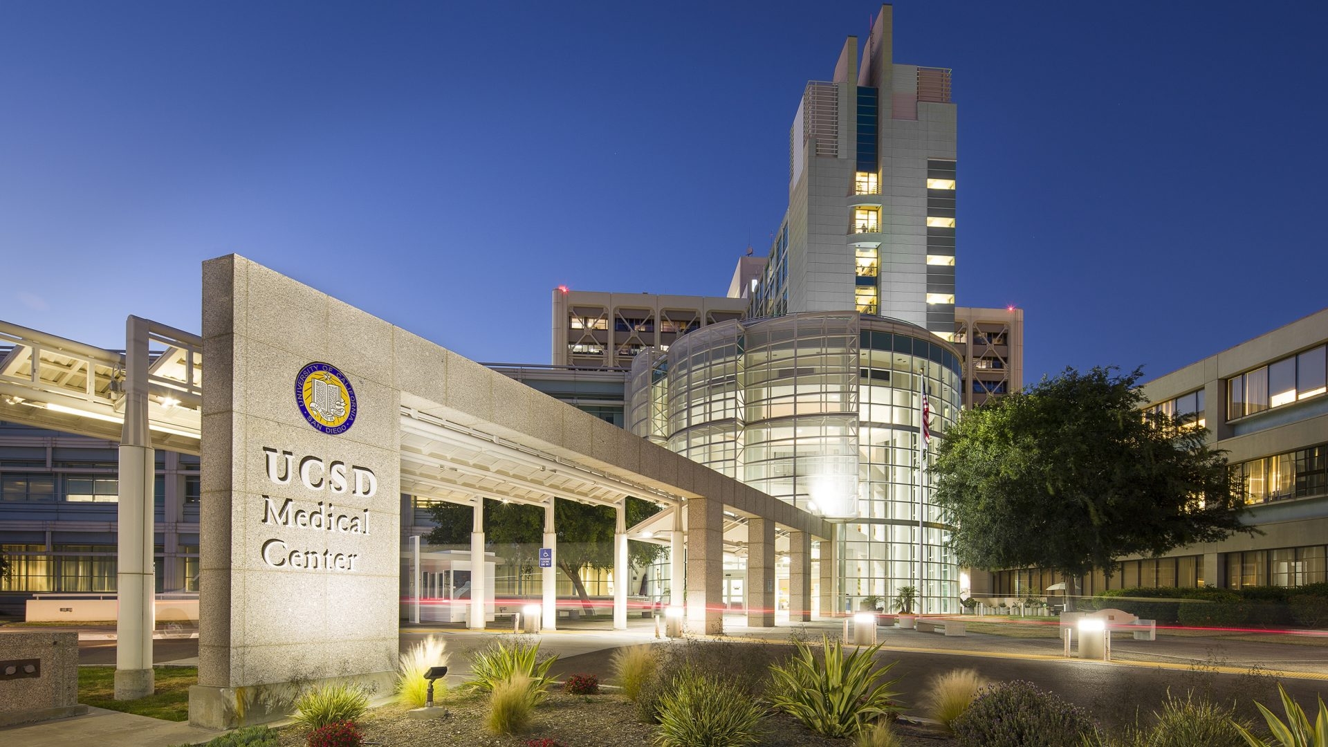 ucsd1.jpg