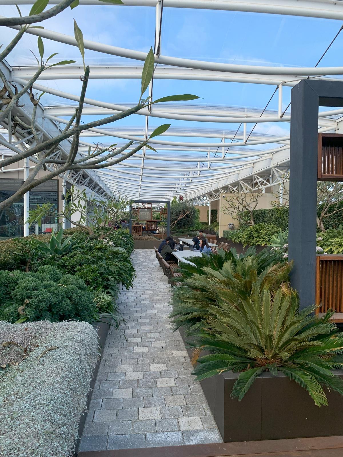 Alunos.2 - Macquire University .jpeg