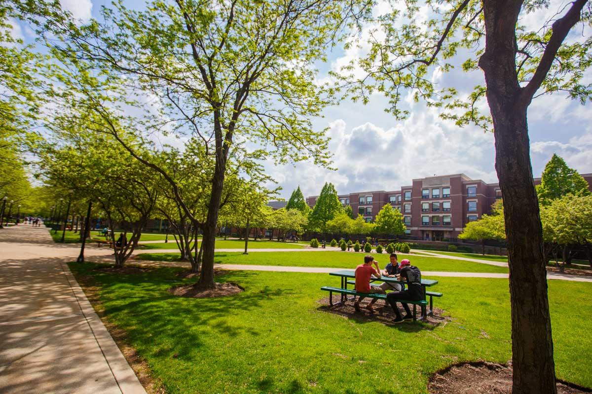Depaul University 4.jpg