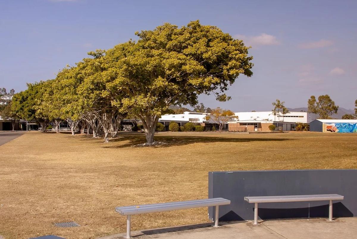 Elanora - Jardim.jpeg