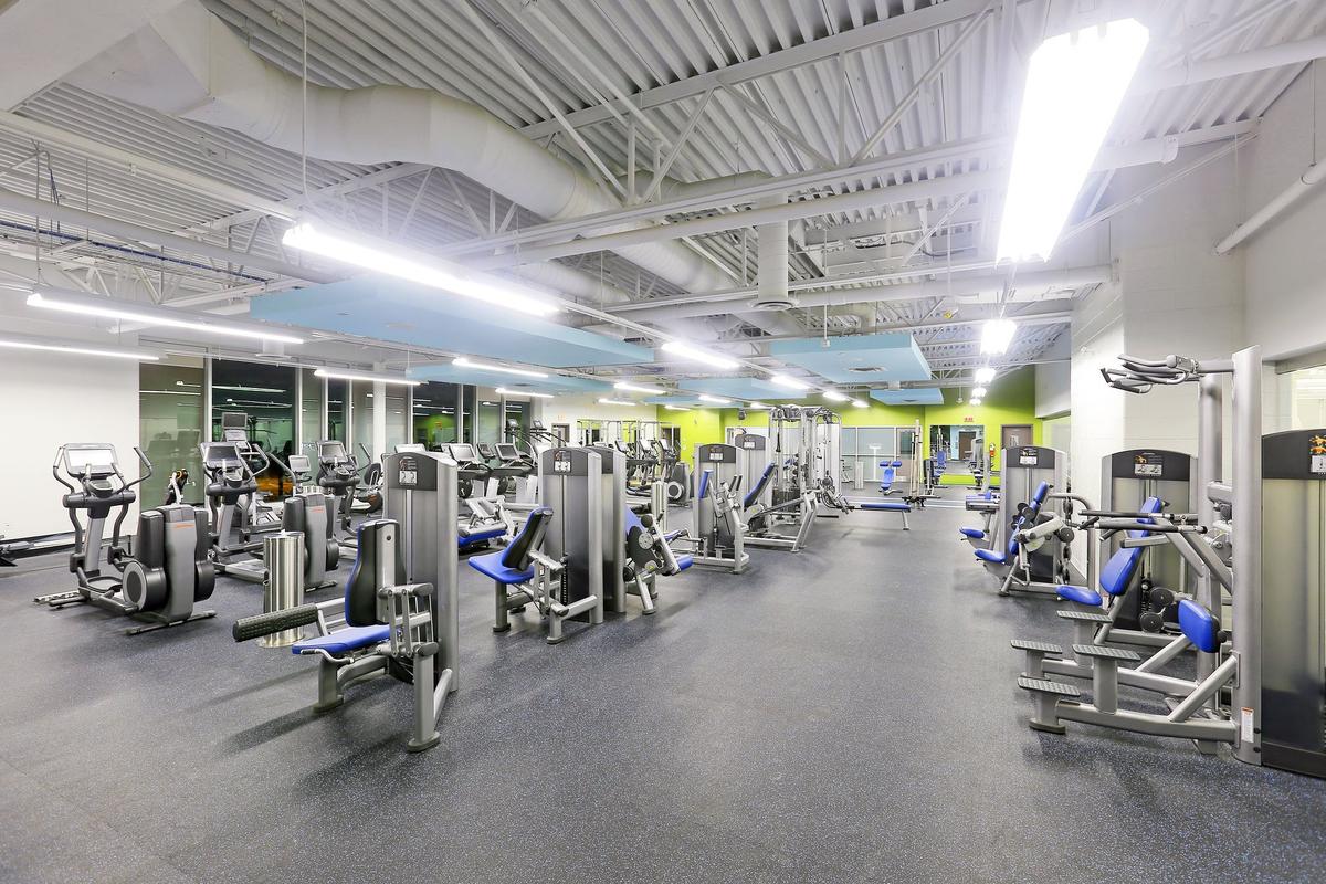 Gym 2.jpg