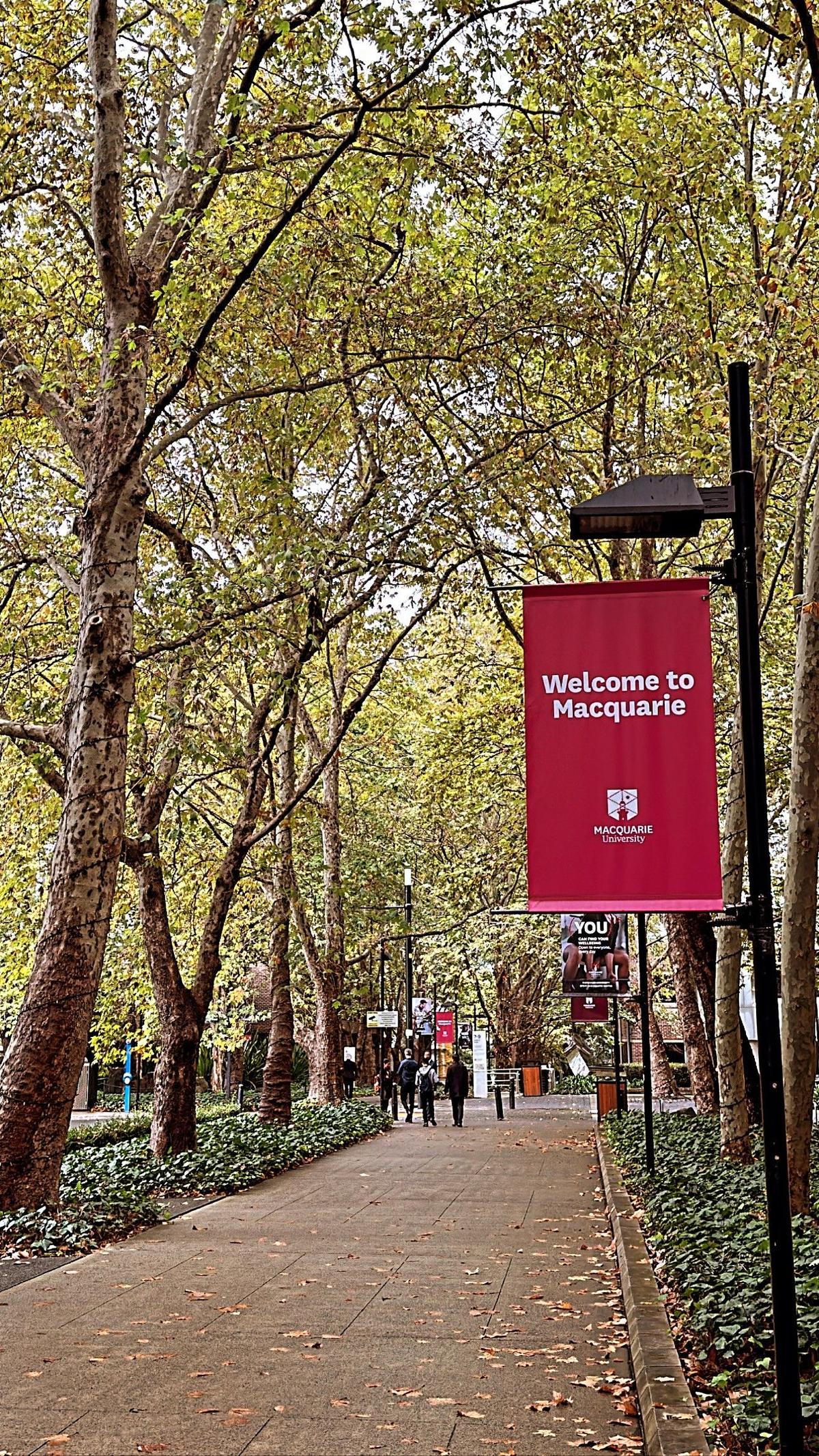 Hall de entrada Macquire.jpg