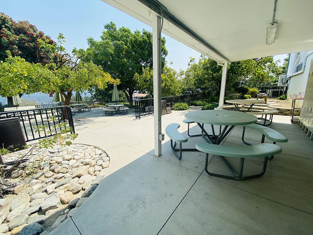 JUNIOR PATIO (1).jpg