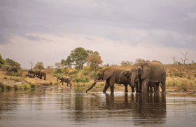 Kruger National Park