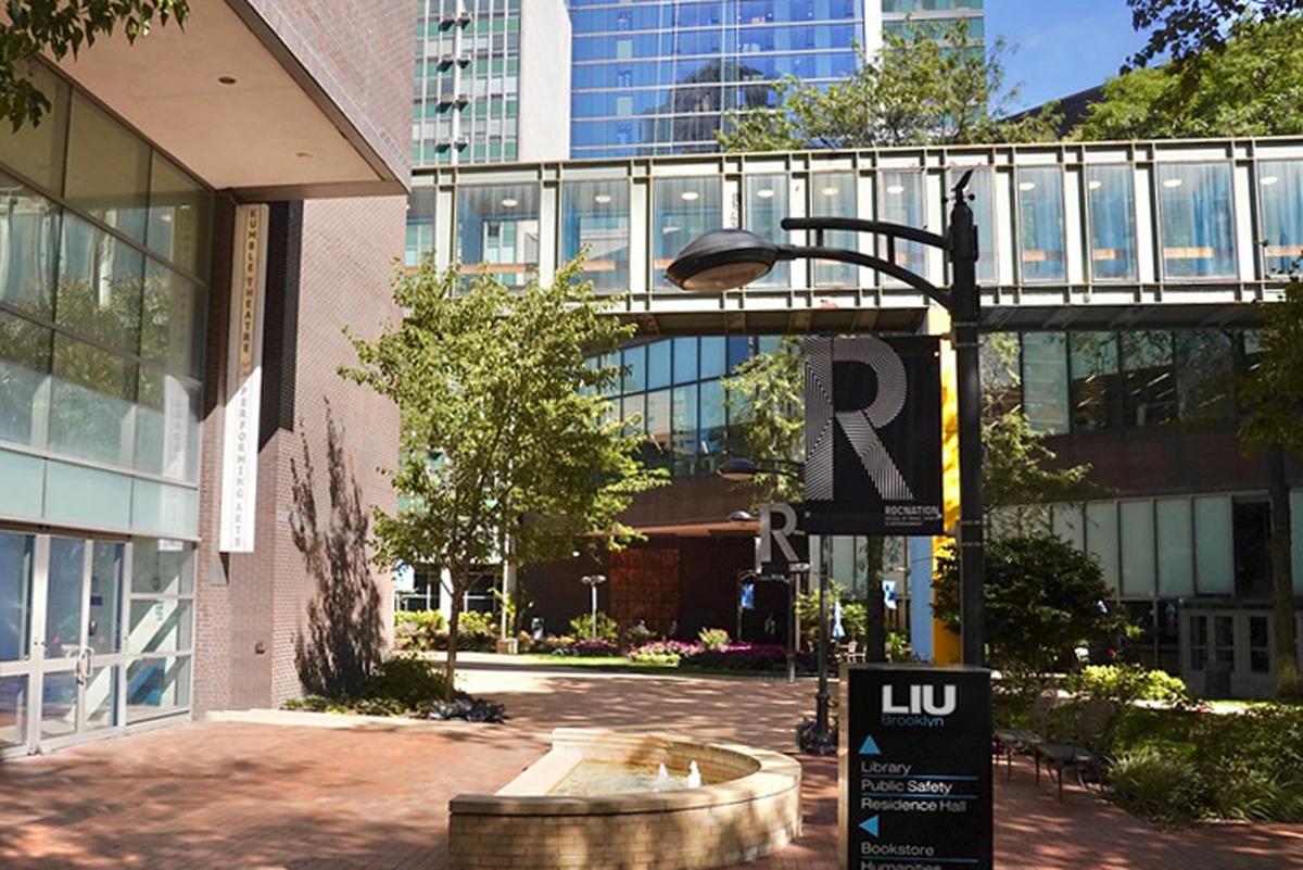 LIU - CAMPUS.jpg