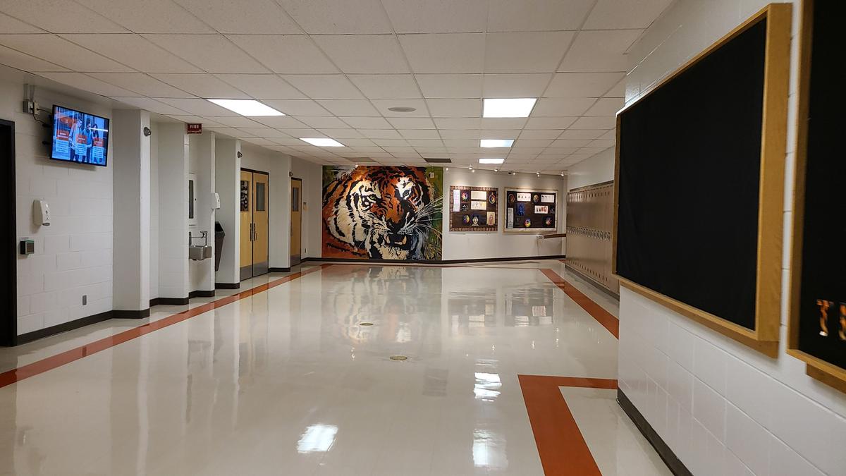 McNally4.jpg