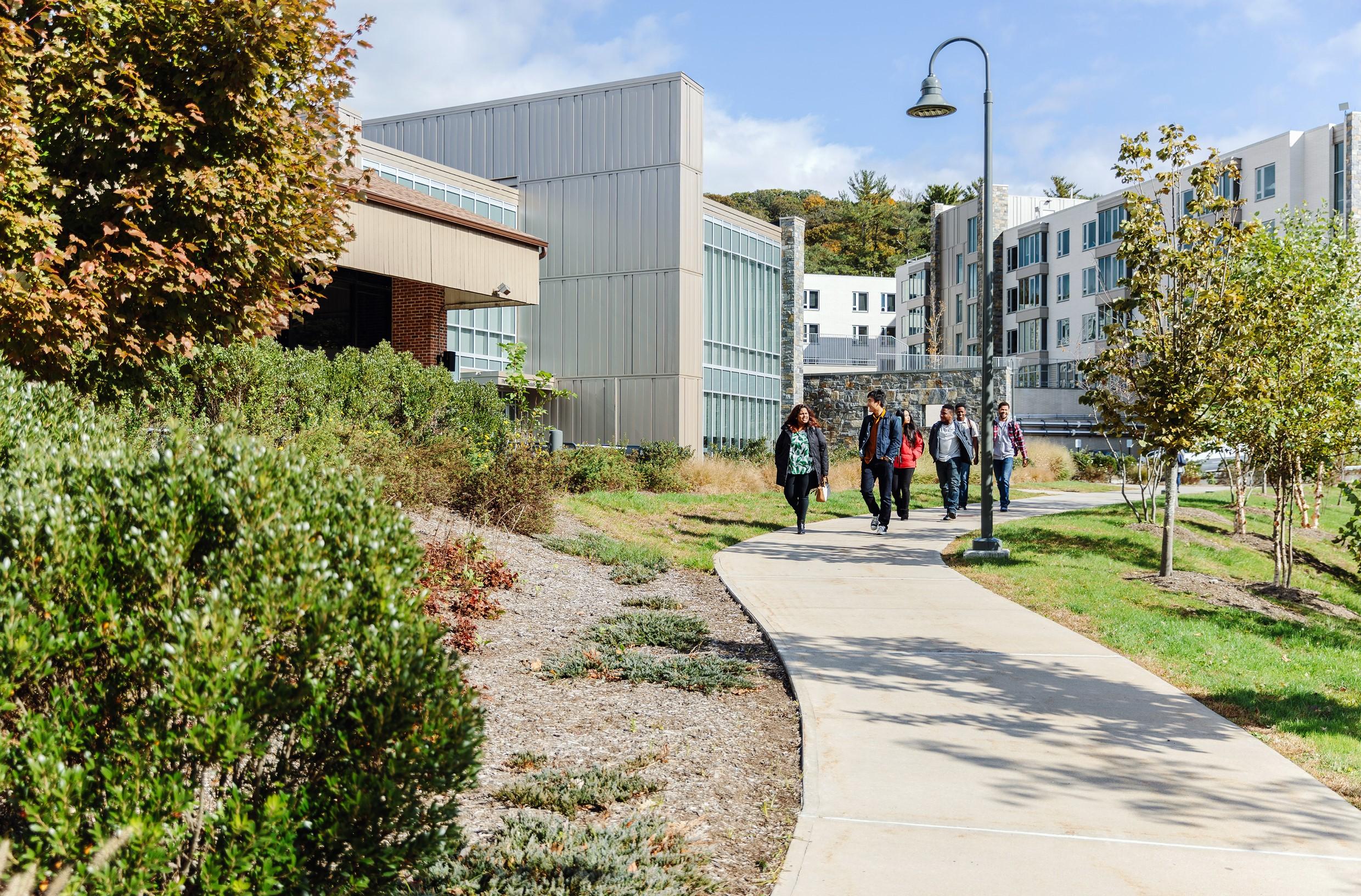Pace University 5.jpg