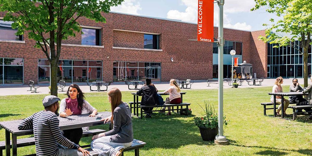 Seneca Poly 1.jpg