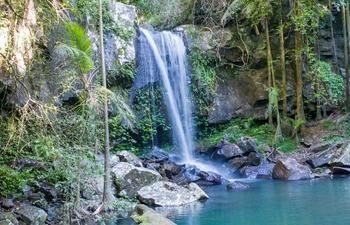 Curtis Falls