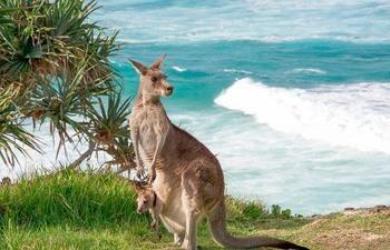 Kangaroo Island