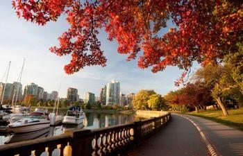 Stanley Park
