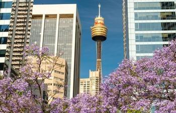 Sydney Tower Eye