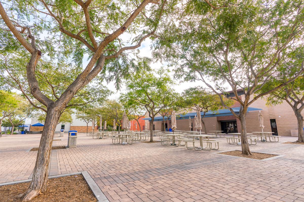 escola Courtyard07.jpg