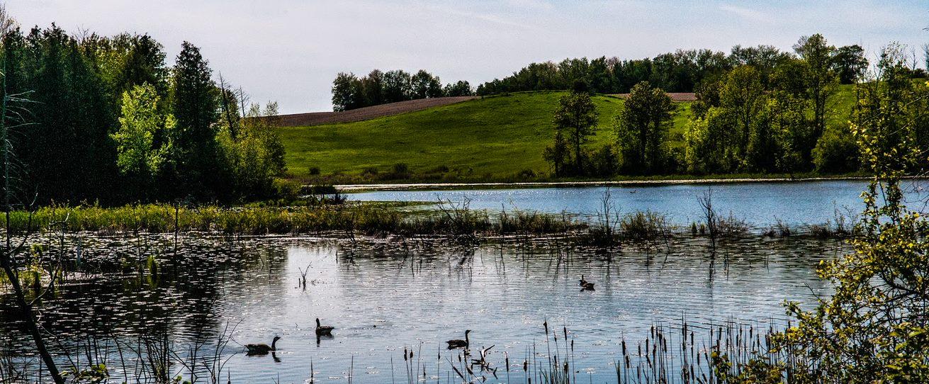 lago da cidade.jfif