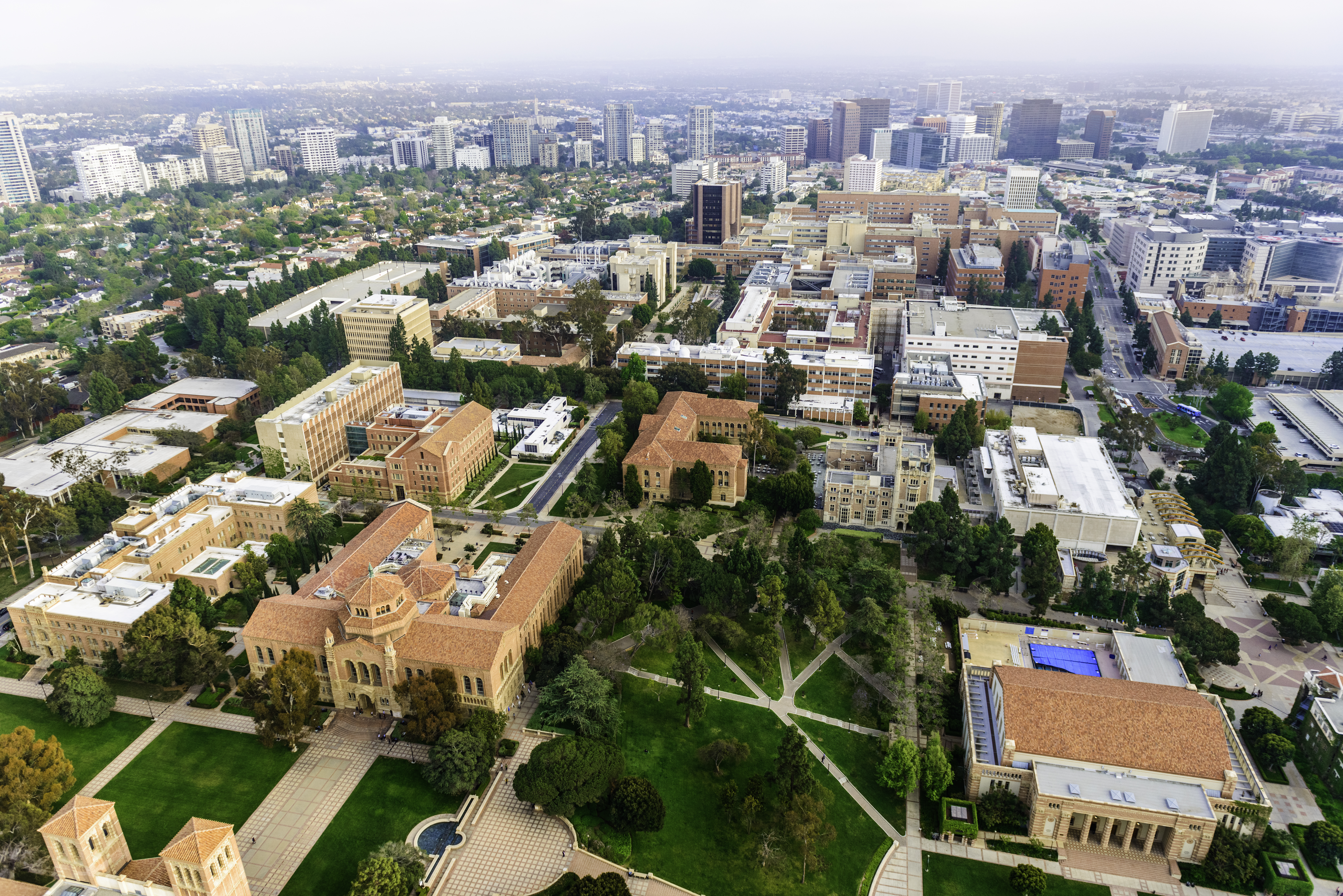 ucla aere.jpg