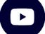 Social Media Icon
