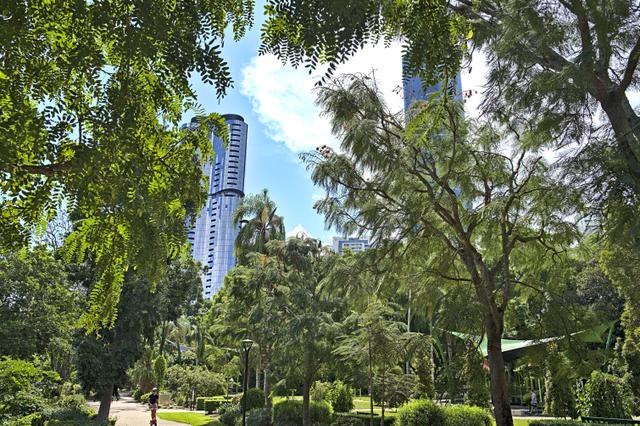Brisbane Botanic Gardens Mount Coot-tha