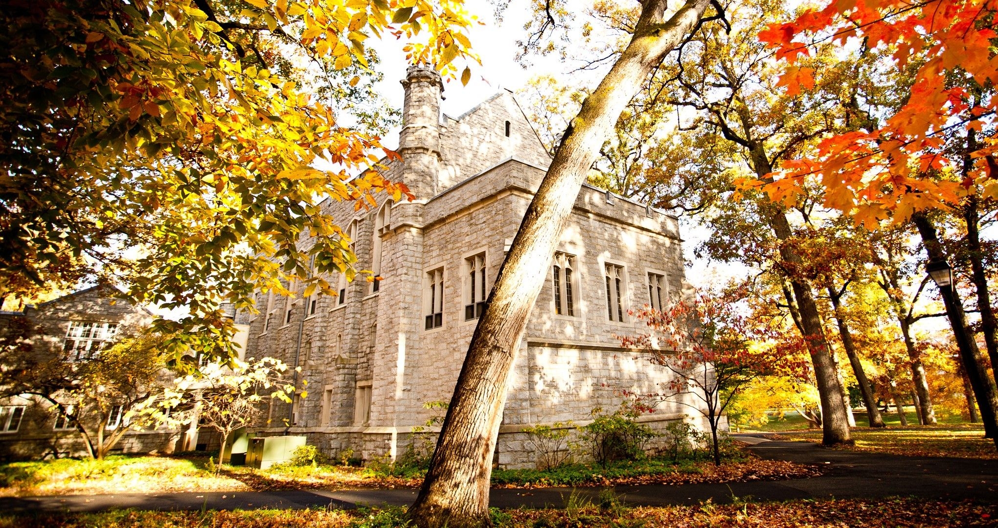DREW atumn trees in front of campus building during autumn_14314 (1).jpg