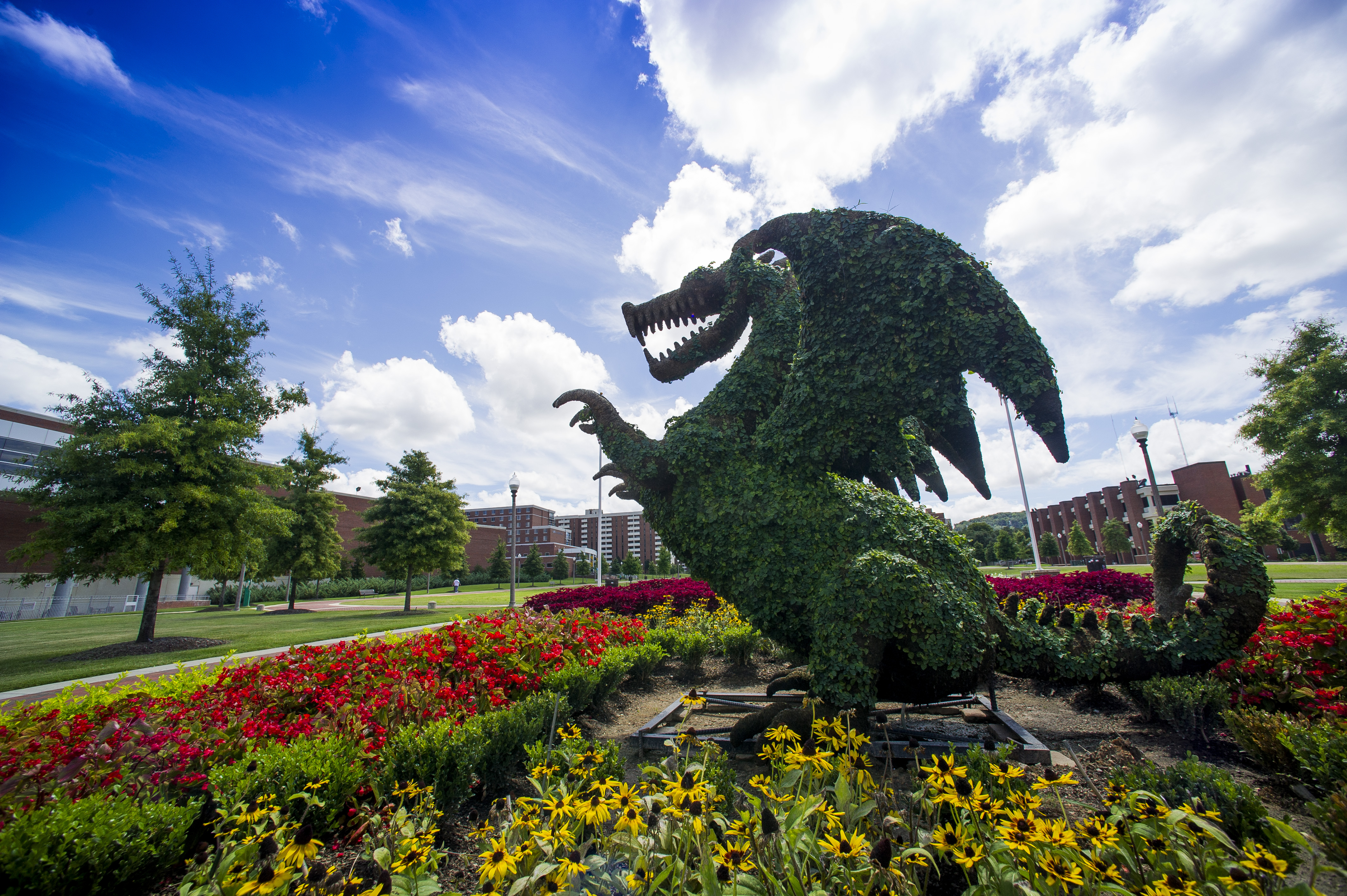 INTO UAB blaze mascot bush with flowers_28393.jpg