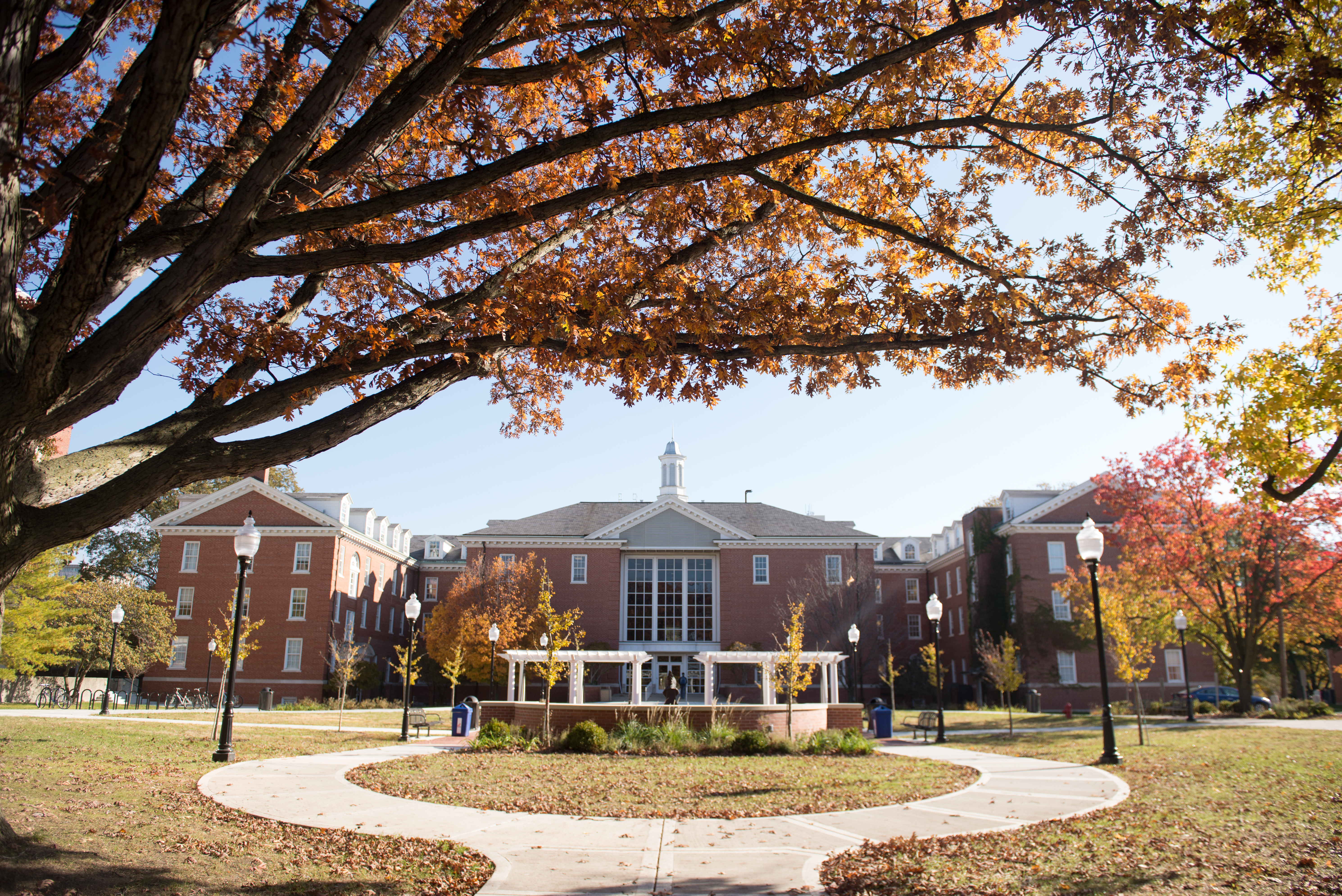 ISU school building with trees and walkway_33556.jpg