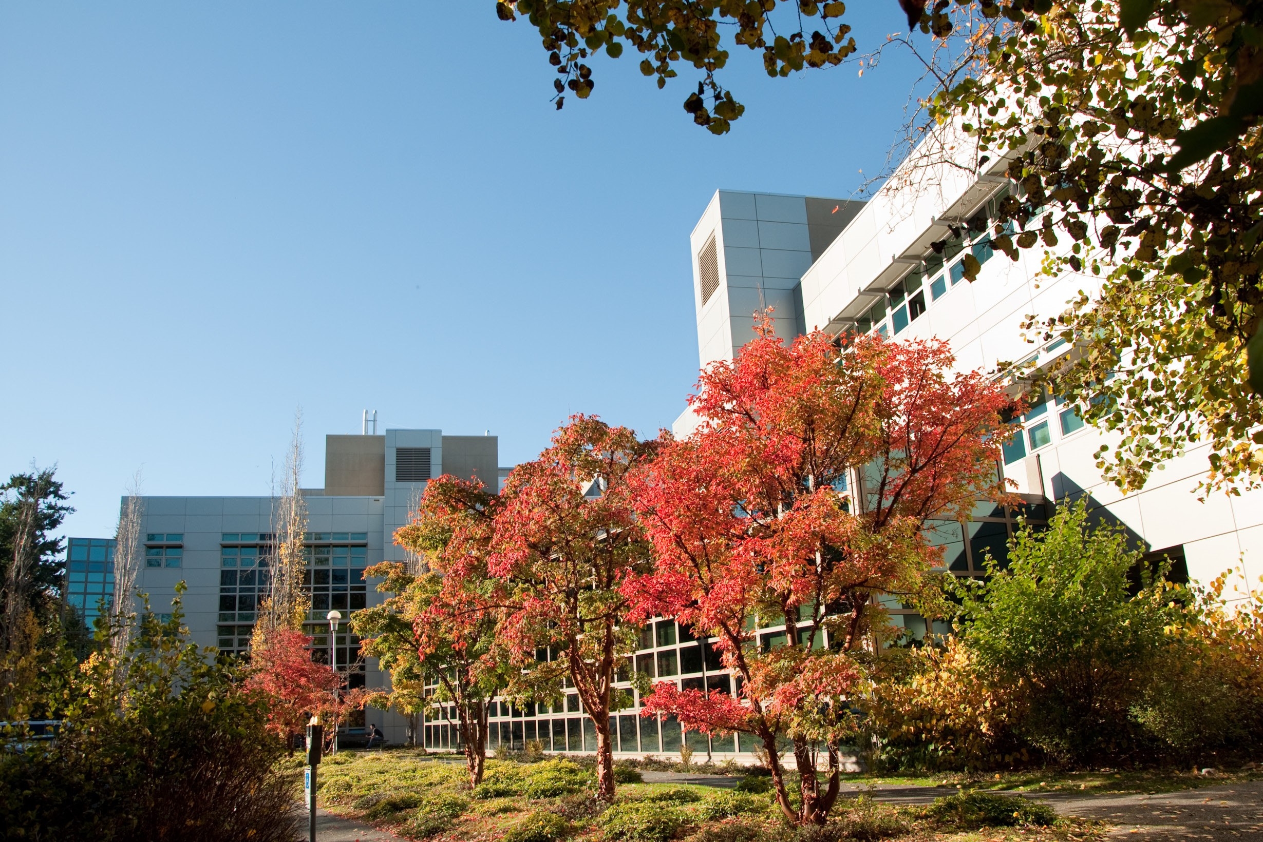University of Victoria-Eng and Com Sci building.jpg