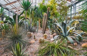 Cairns Botanic Gardens