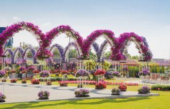 Dubai Miracle Garden