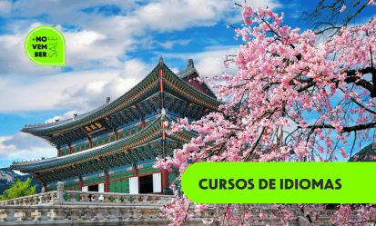 november-sale-curso-de-coreano-em-seul.png